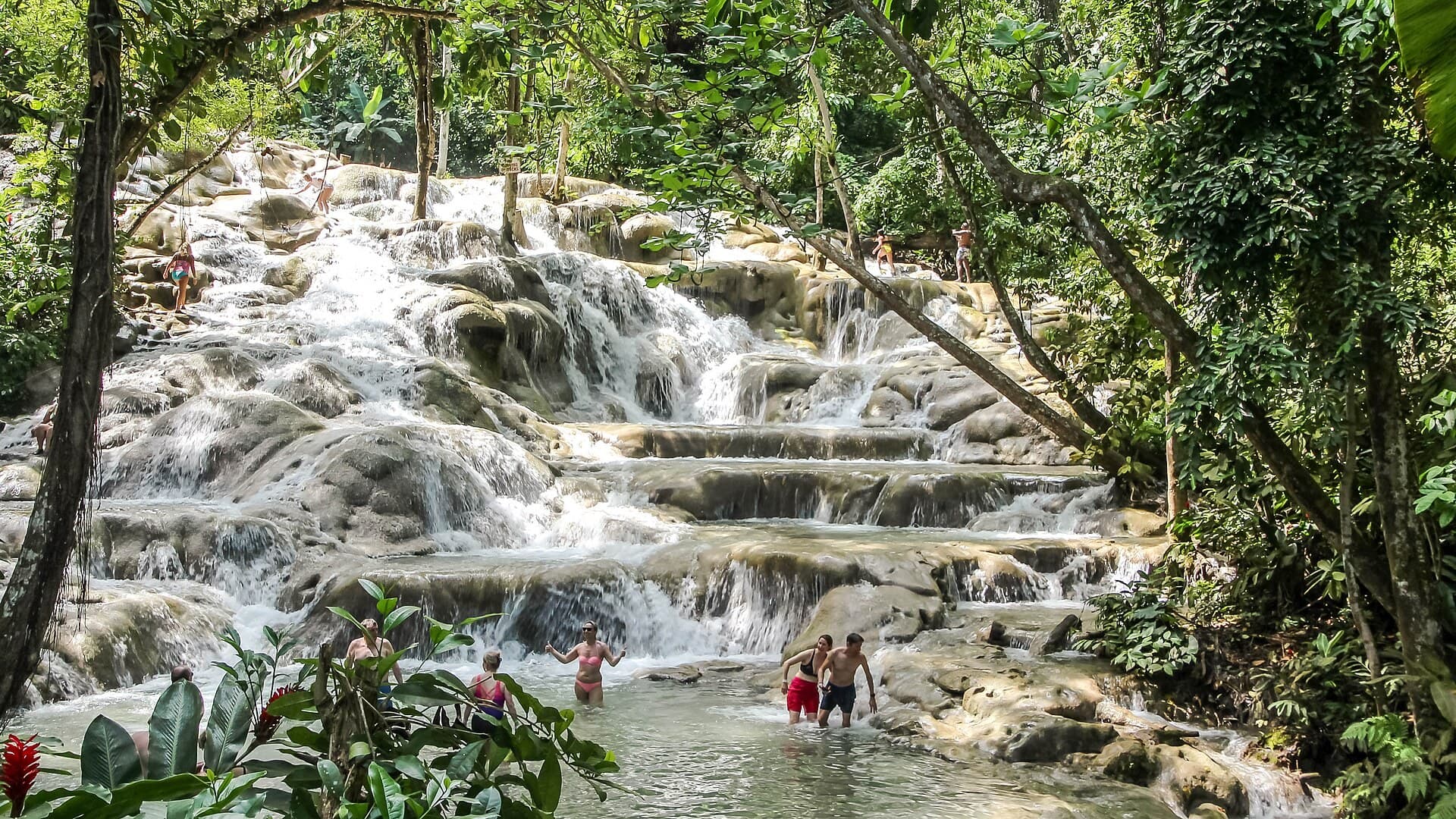 Tours and Attractions